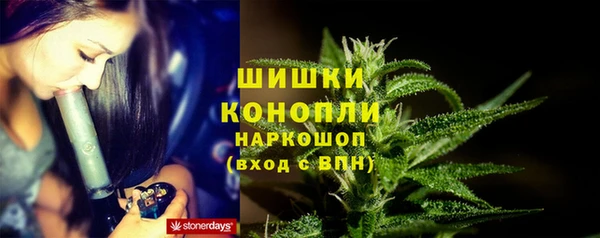 СК Инсар