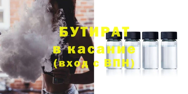 сатива Каменка
