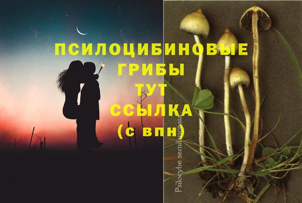 СК Инсар