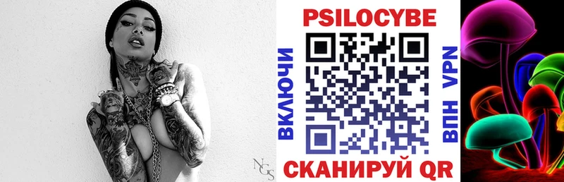 Купить где  Западная Двина  Галлюциногенные грибы мицелий 